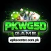 PKWG5D Game